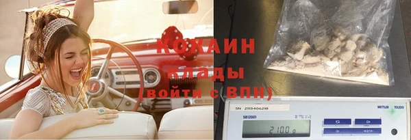 не бодяженный Арсеньев
