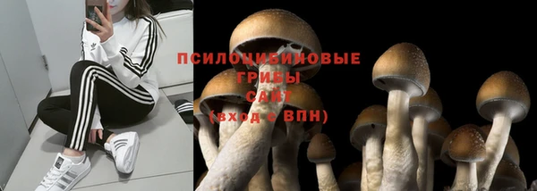 не бодяженный Арсеньев