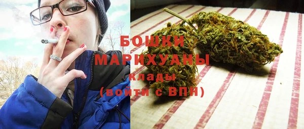 не бодяженный Арсеньев